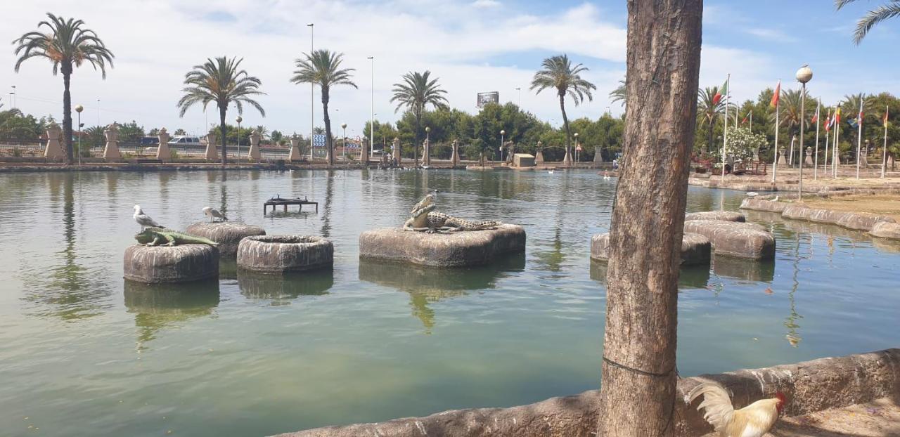 Schöne Wohnung mit Pool , Wi-Fi und privat Garage Torrevieja Exterior foto
